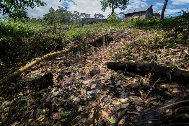 El lugar donde Vilma Trujilla fue arrojada en una hoguera en El Cortezal. Carlos Herrera/Confidencial