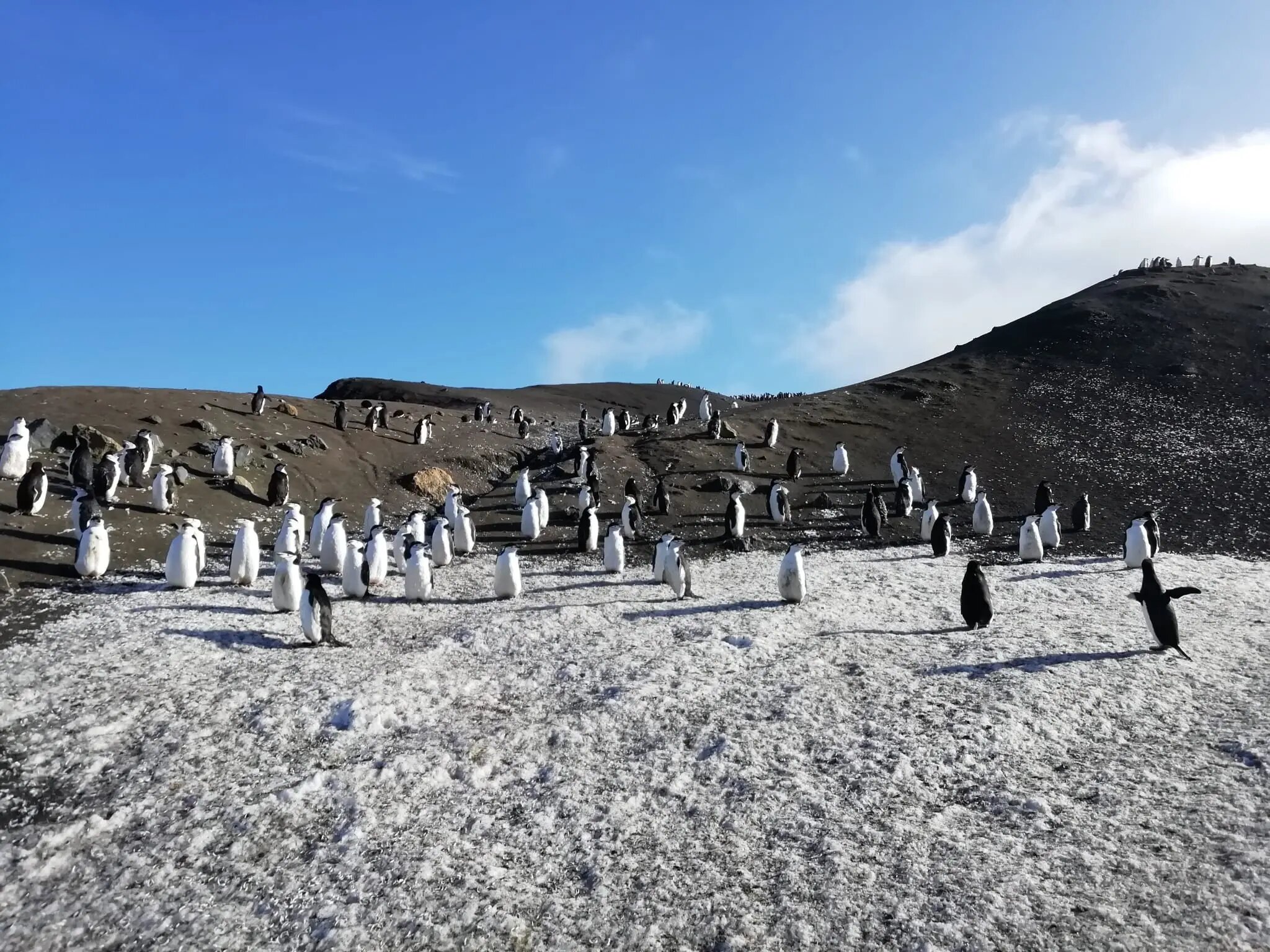 nicaraguan in antartica