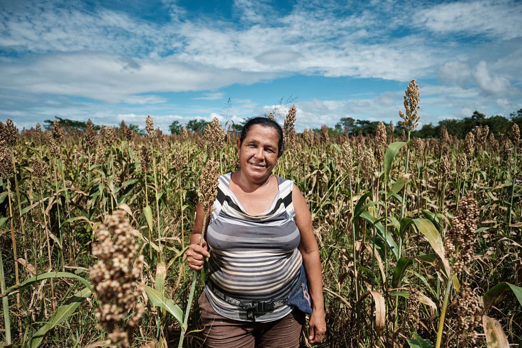 Cargill igualdad de género