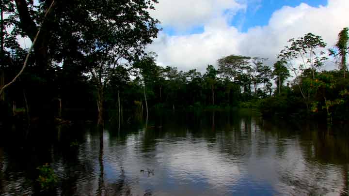 Rio Makantaka. Foto: Michelle Carrere.