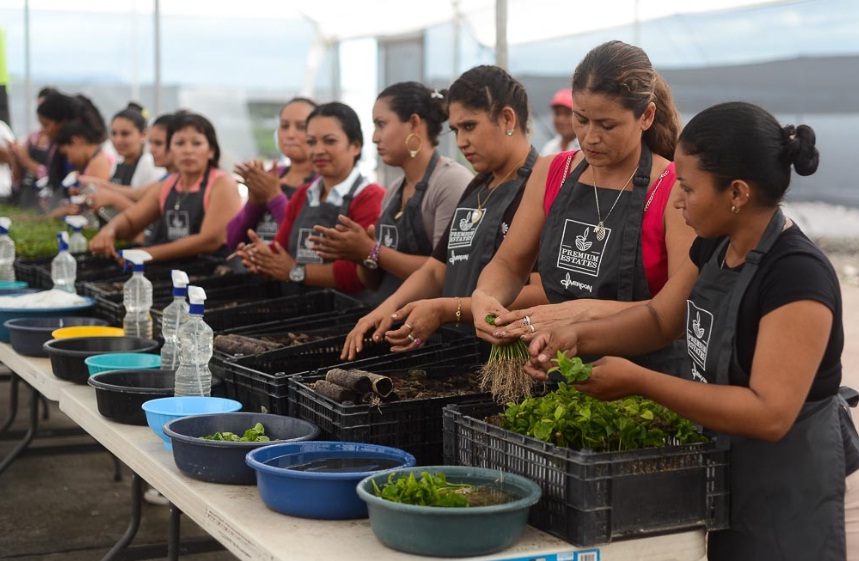 El 60% de los empleos generados son a mujeres de Sébaco. Carlos Herrera / Confidencial