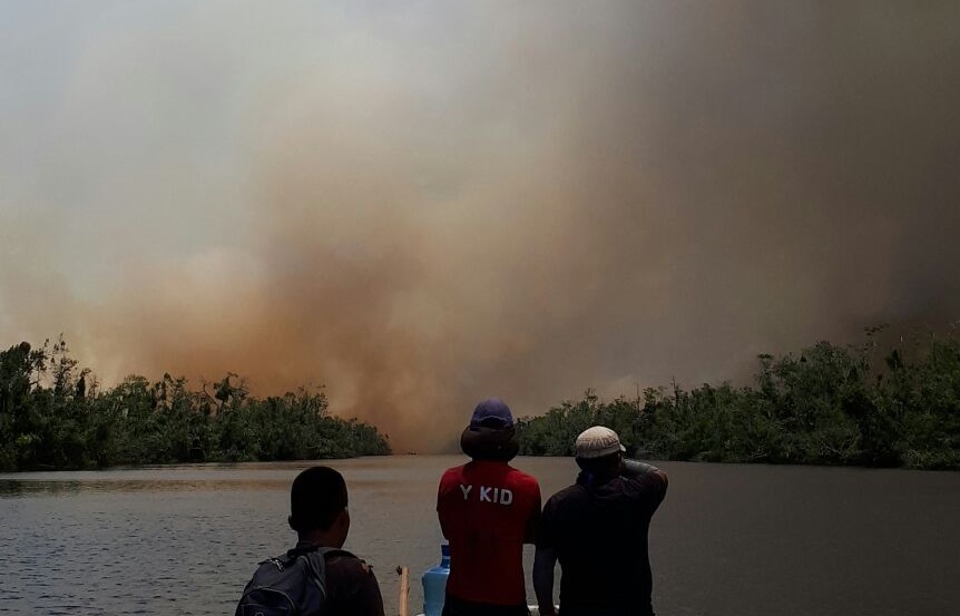 Incendio Indio Maíz