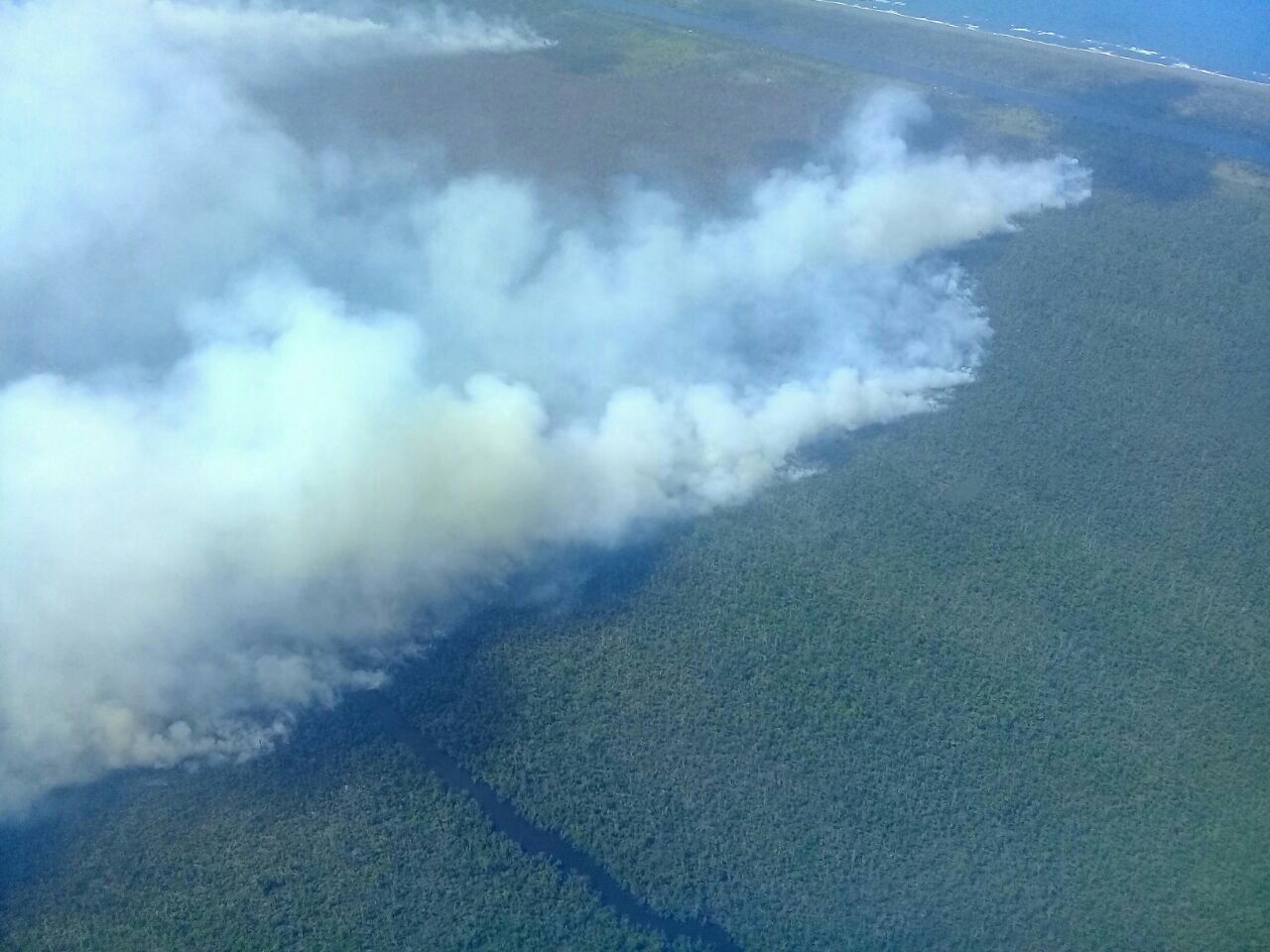 El incendio ha afectado aproximadamente 2 600 hectáreas de bosque. Foto: Cortesía.