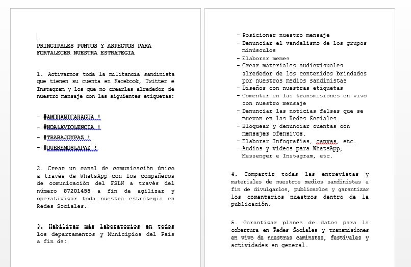 Captura de pantalla de la estrategia para redes sociales propuesta por Rosario Murillo 